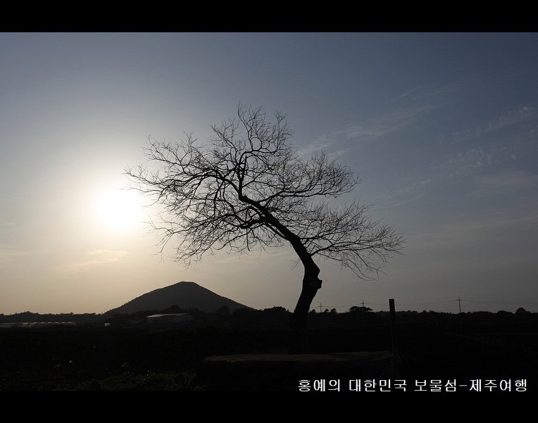 갤러리 홍예 이미지