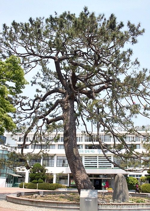 고산유통 이미지