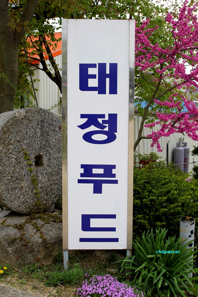 두콩식품 이미지