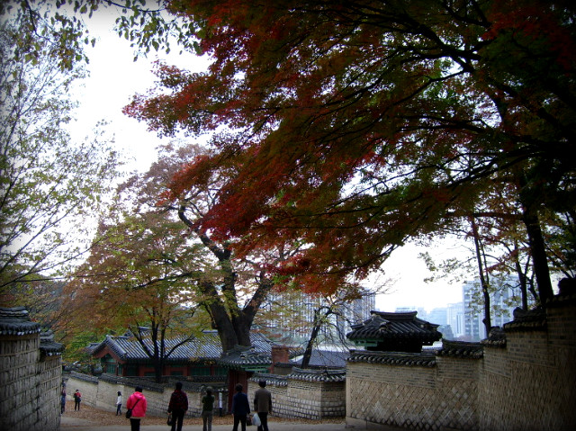 112E6B144AF29BEC8DE577