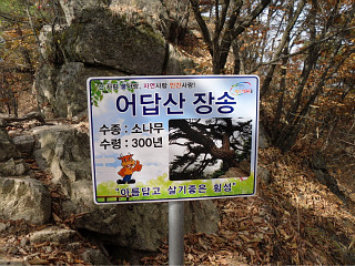 가벼운 가을산행 : 횡성 어답산[御踏t山] + 풍수원성당