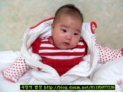 우리집에 놀러온 은선이!