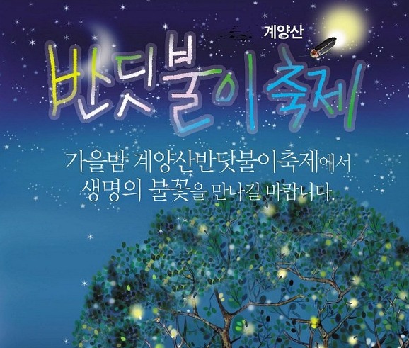 반디불이 이미지