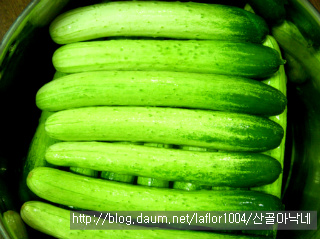 입에 불나는 매운 맛을 잠재워줄 시원한 오이지냉국!!~