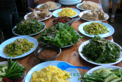 전세계 곡물가격 폭등으로 식탁물가와 국내 축산업에 큰 위기