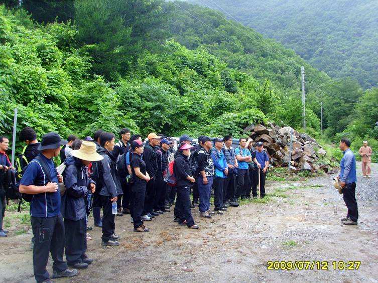 지리산산삼산야초 이미지