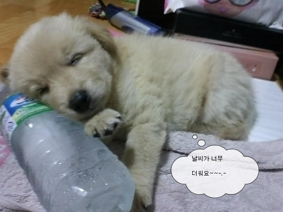 지혜와 명철