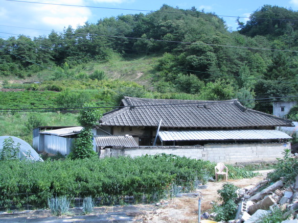 하마사 이미지