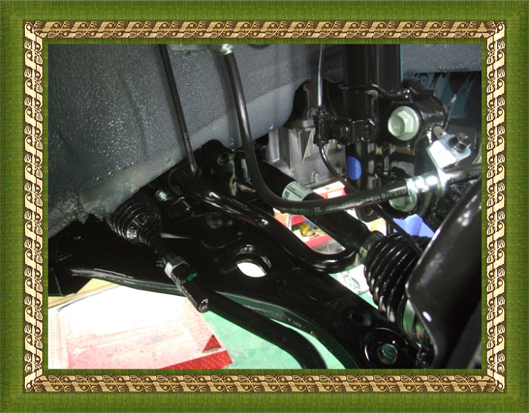 1565DF364C5E48DB50CC4C