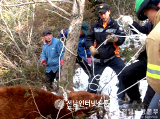영암소방서(영암구조대) 이미지