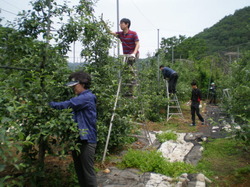 도청식품 이미지