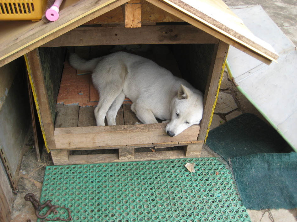 백호야 백호야 우리 백호야~~~~~~~