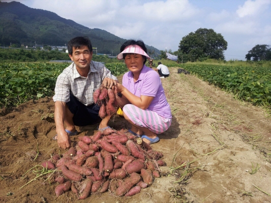 강산애 이미지