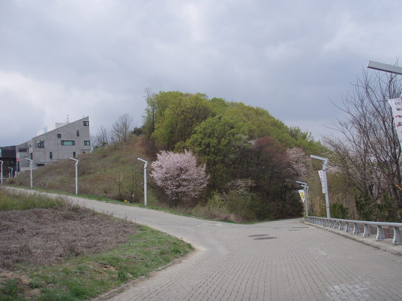 조광호 이미지