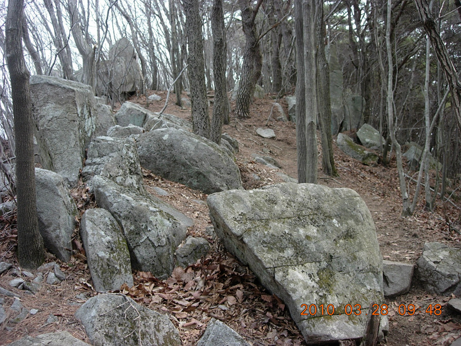 고찰과 송림(松林)의 운치에 빠져든 연화산, 남산 산행 1 - 등산 갤러리