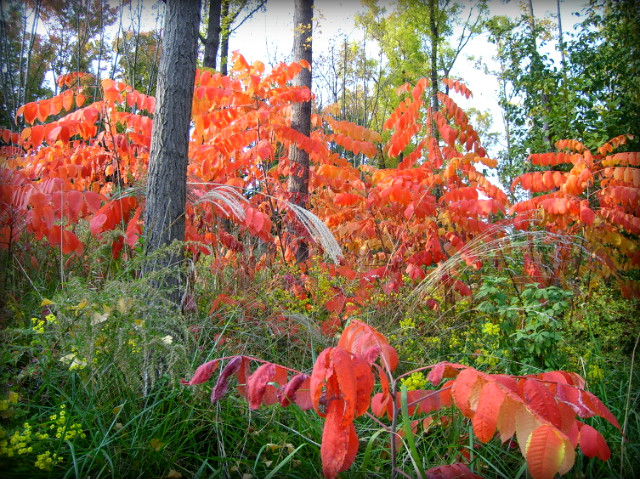 1875451B4AEABC0661F257