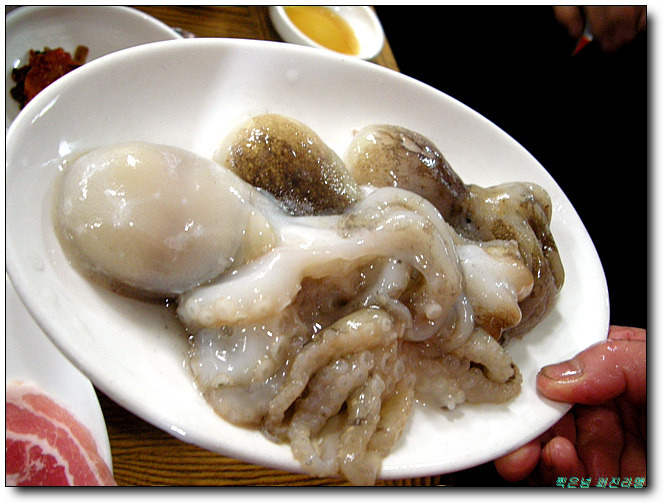 홍어식당 이미지