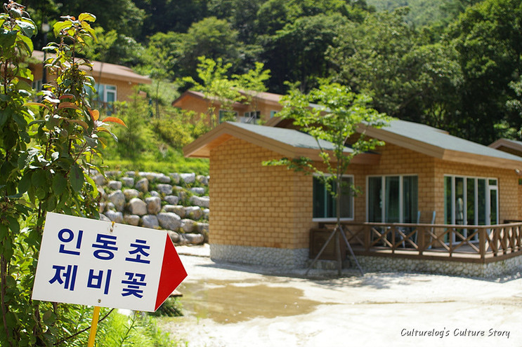 좌구산자연휴양림 이미지