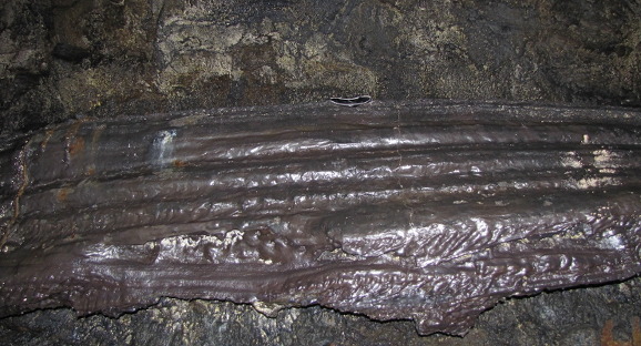 이미지 전체보기