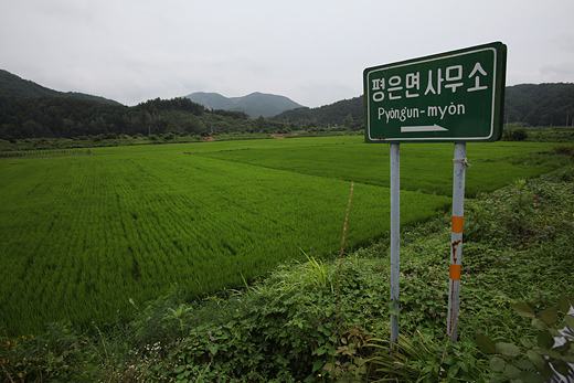 천혜절경 내성천, 4대강 공사 1년만에…