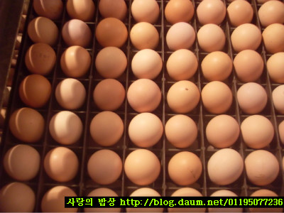설날의 풍요로움^^