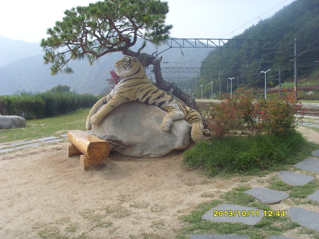 국수마차 이미지
