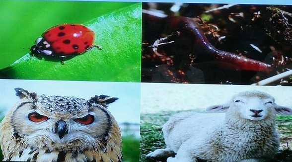 뉴트리라이트, 씨앗부터 책임진다… 과학적이고 꼼꼼한 관리로 품질 보장