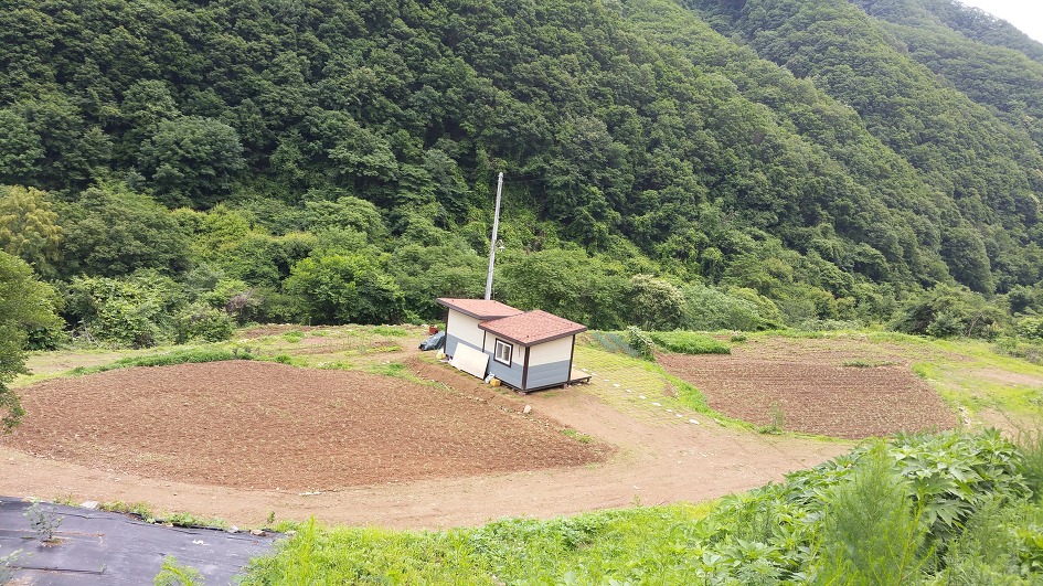 블로그 이미지