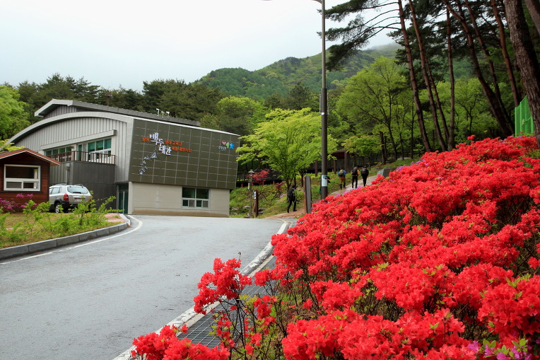 * 지리산 바래봉 산행기 