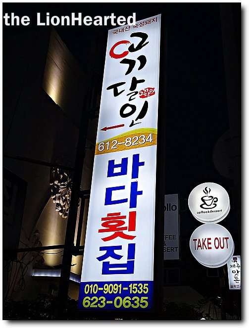 해변의돼지 이미지