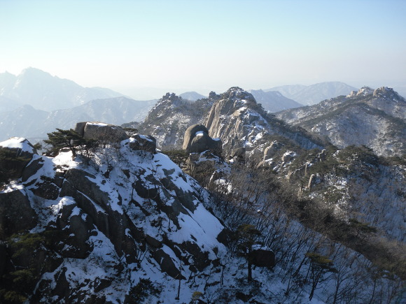 청 춘