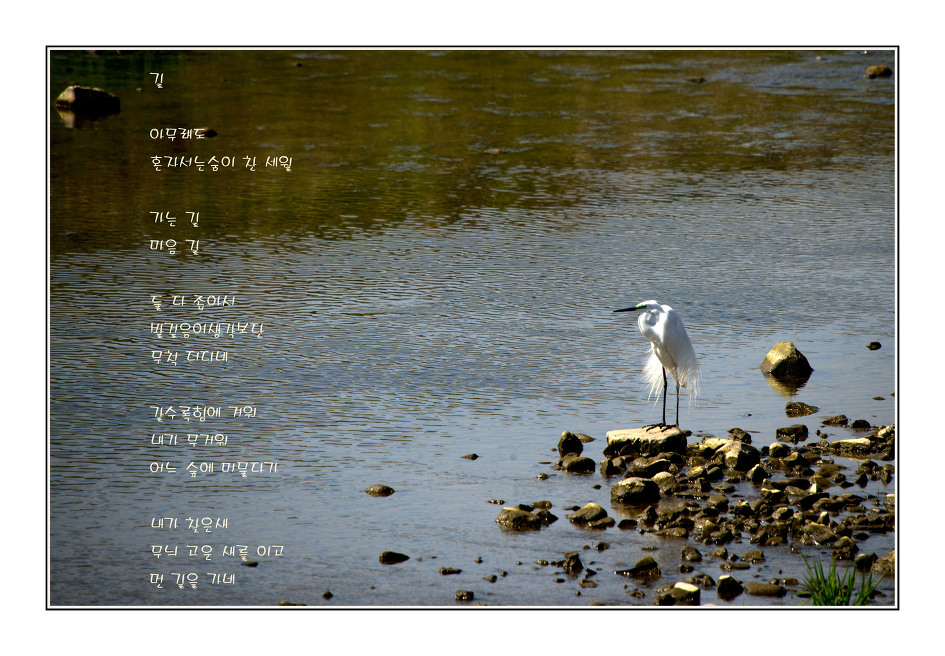 이해인수녀님 .용혜원님 시