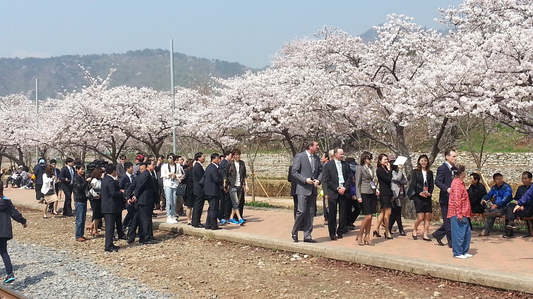 로망스 이미지