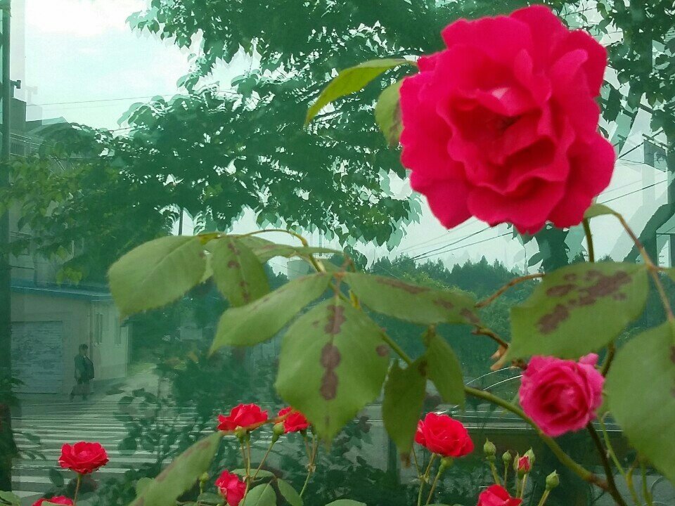 내 마음의터 부산    사랑스런부산   나의부산