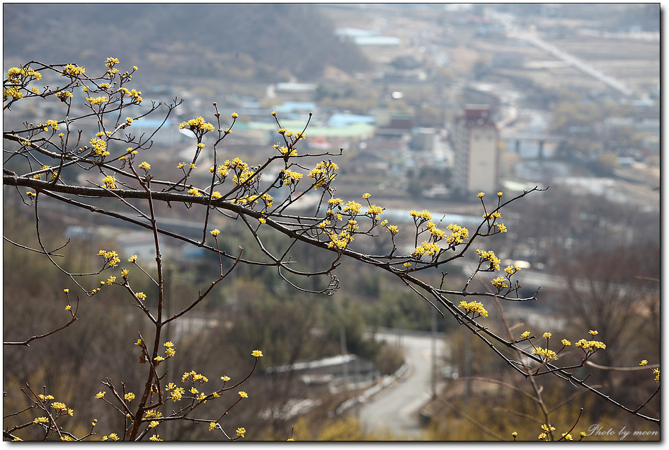 산동카 이미지