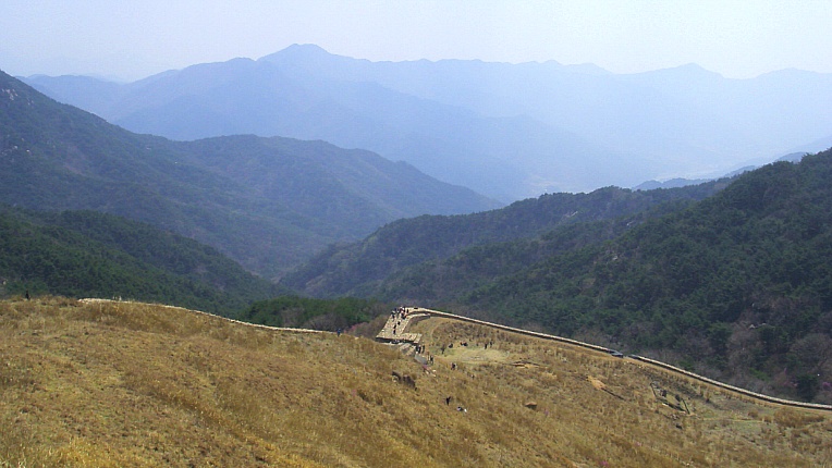 23349F41552905DA0A39E8