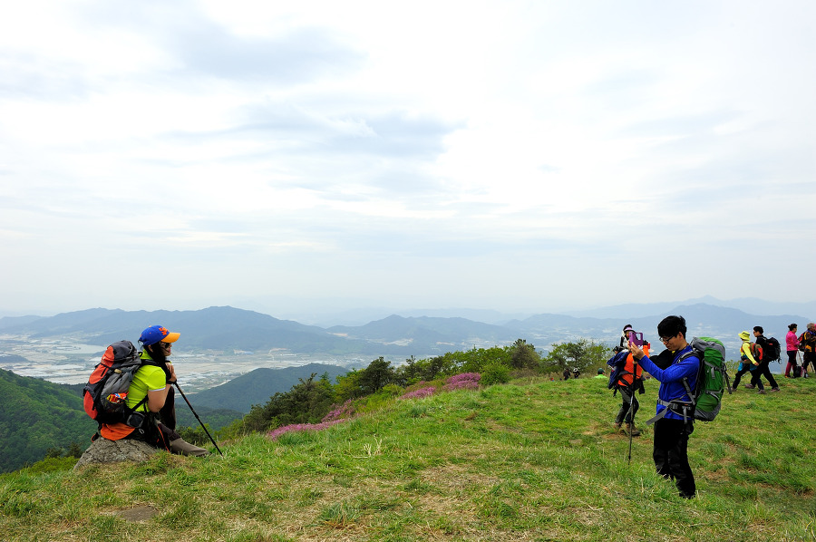 지리산  바래봉에는 꽃보다 사람이 더 많았다.