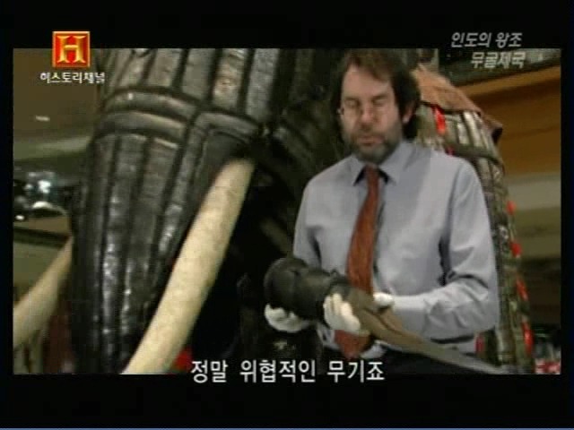인도의 무굴 제국에서 사용한 전투 코끼리 갑옷 | 인스티즈