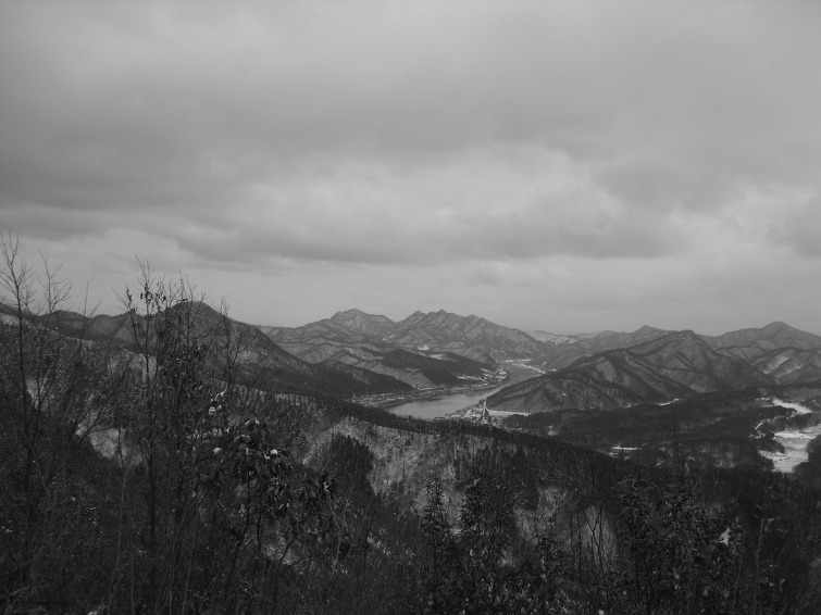 이미지