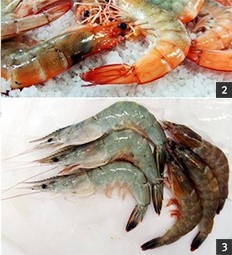 대하 이미지