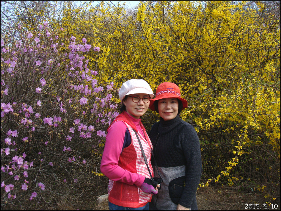오랜만에 친구와 함께 한 나들이 용인 호암 미술관 희원/2014, 4, 10