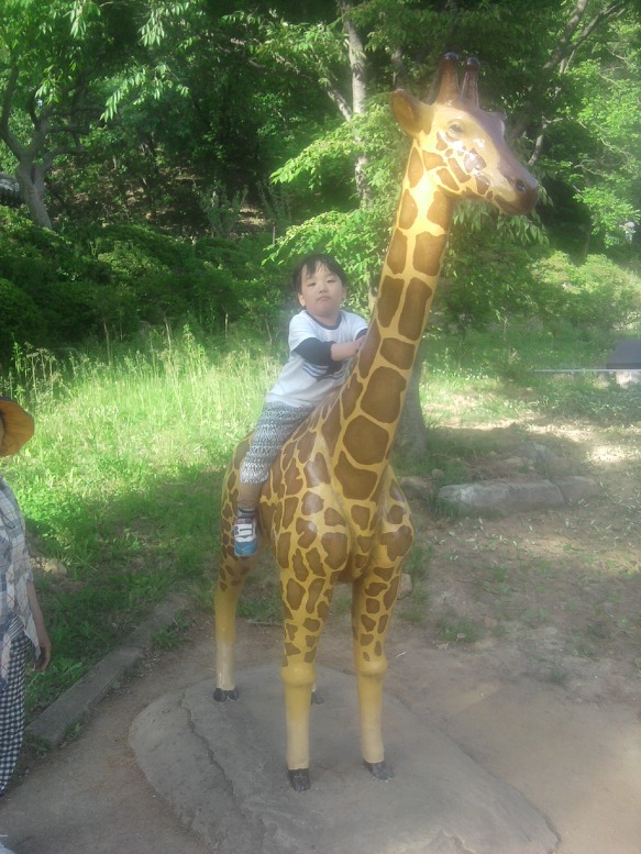 2016년 5월12일 대구화원동산에서