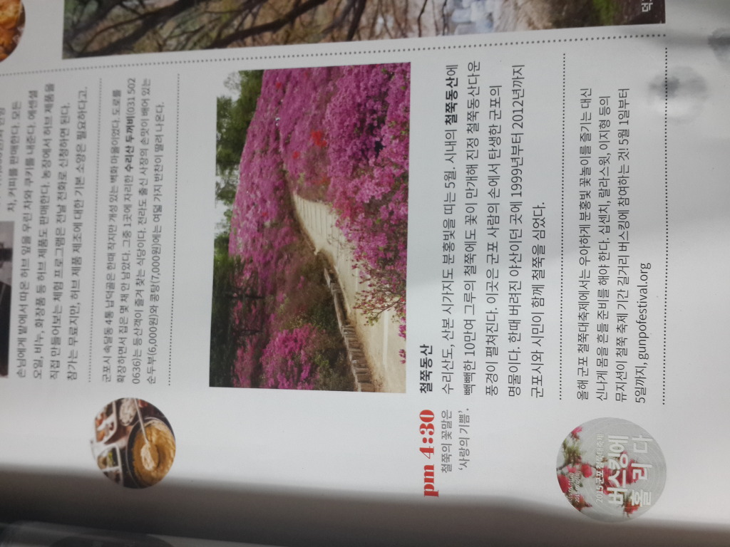 전국빵배달 택배되는빵집 앙금빵이맛있는고재영빵집이야기