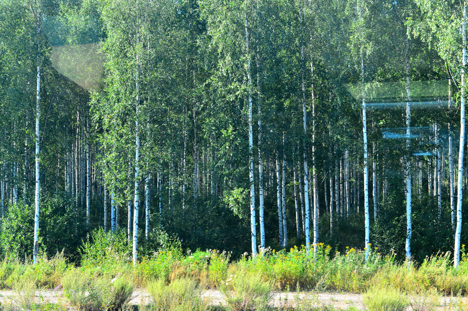 알레그로 열차를 타고 상트 페테르부르크로~