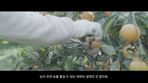 맘님들 팜온더로드영상 보셨나요?