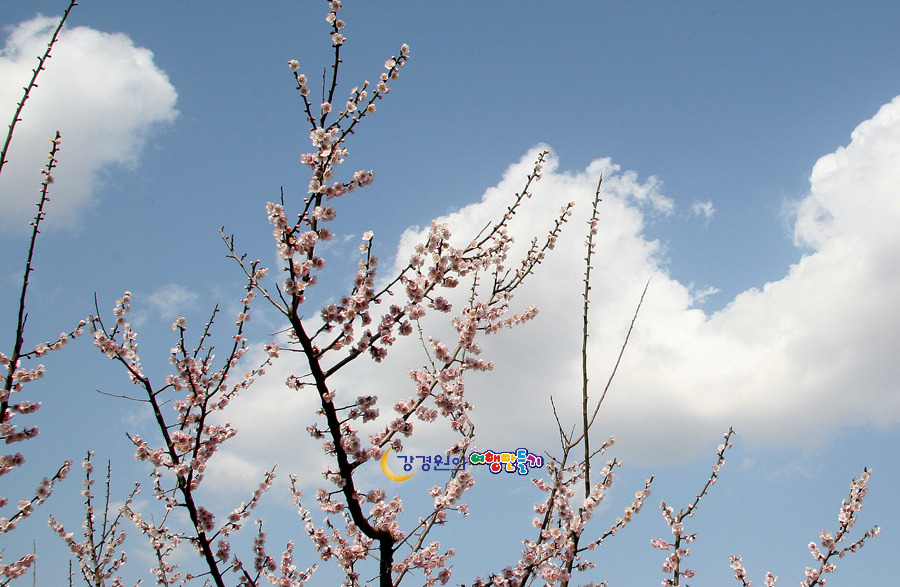좋은축산마을 이미지