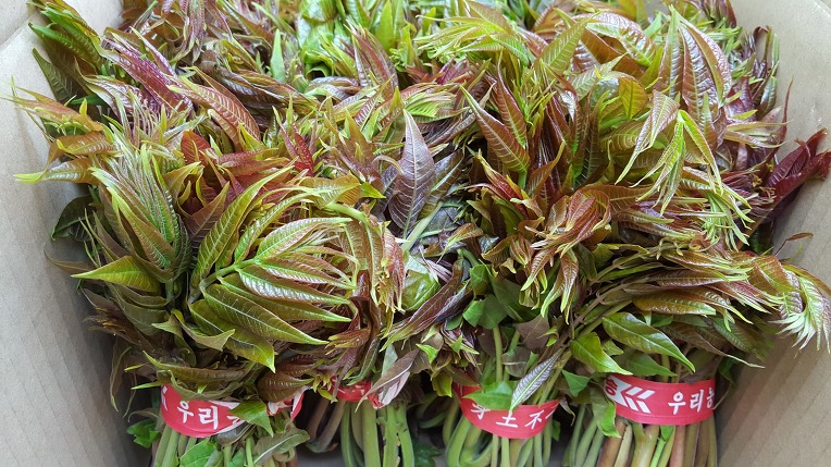 하동식품 이미지