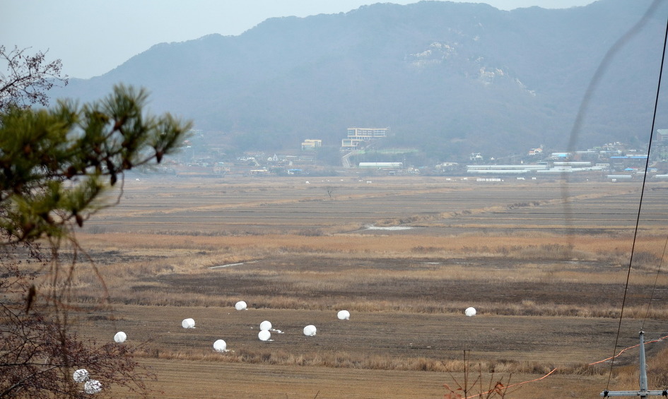 선두리 이미지