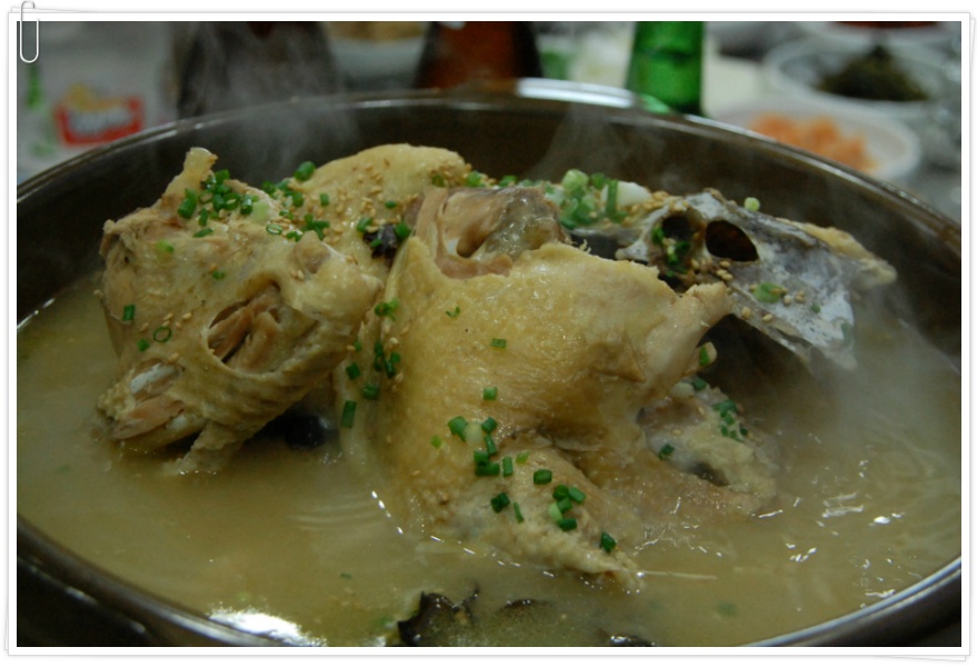 [창원의창동읍맛집] 해훈가든의 용봉백숙 - 주남저수지에서 직접 잡은 잉어와 토종닭의 만남