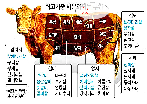 채끝,채끝살,채끝등심, 소고기한우부위 알아보기